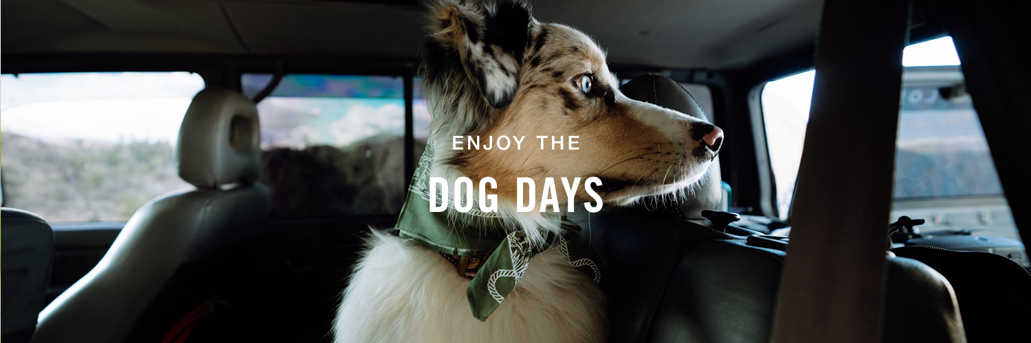Dog Days 1