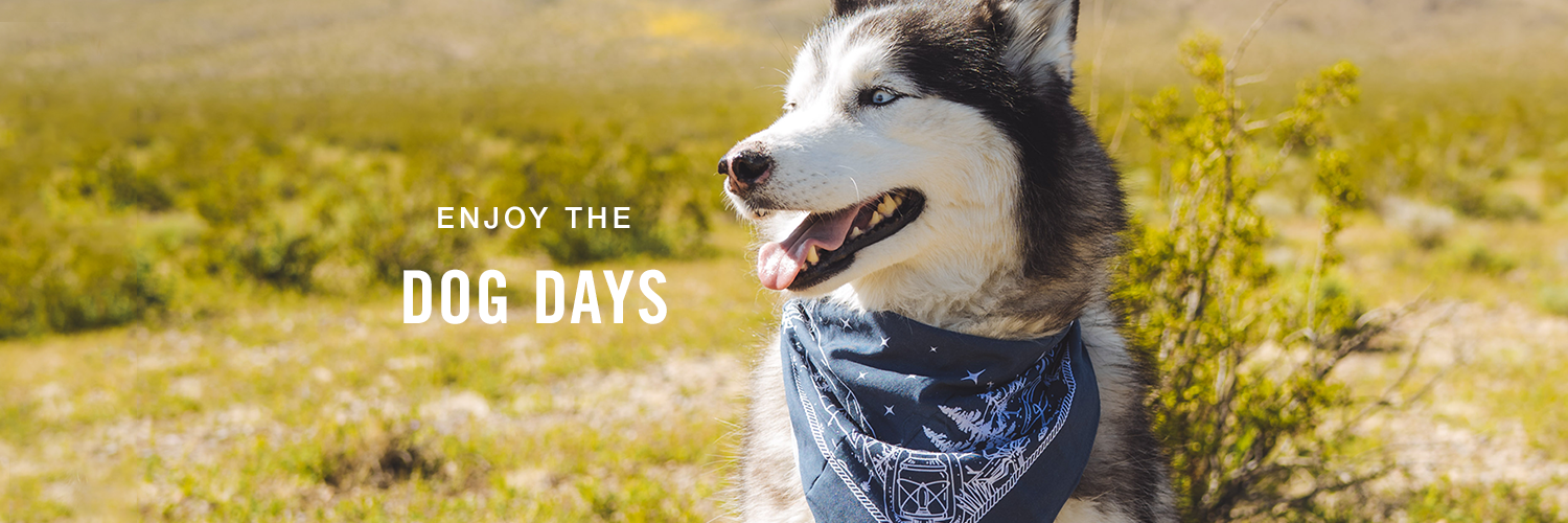 Dog Days
