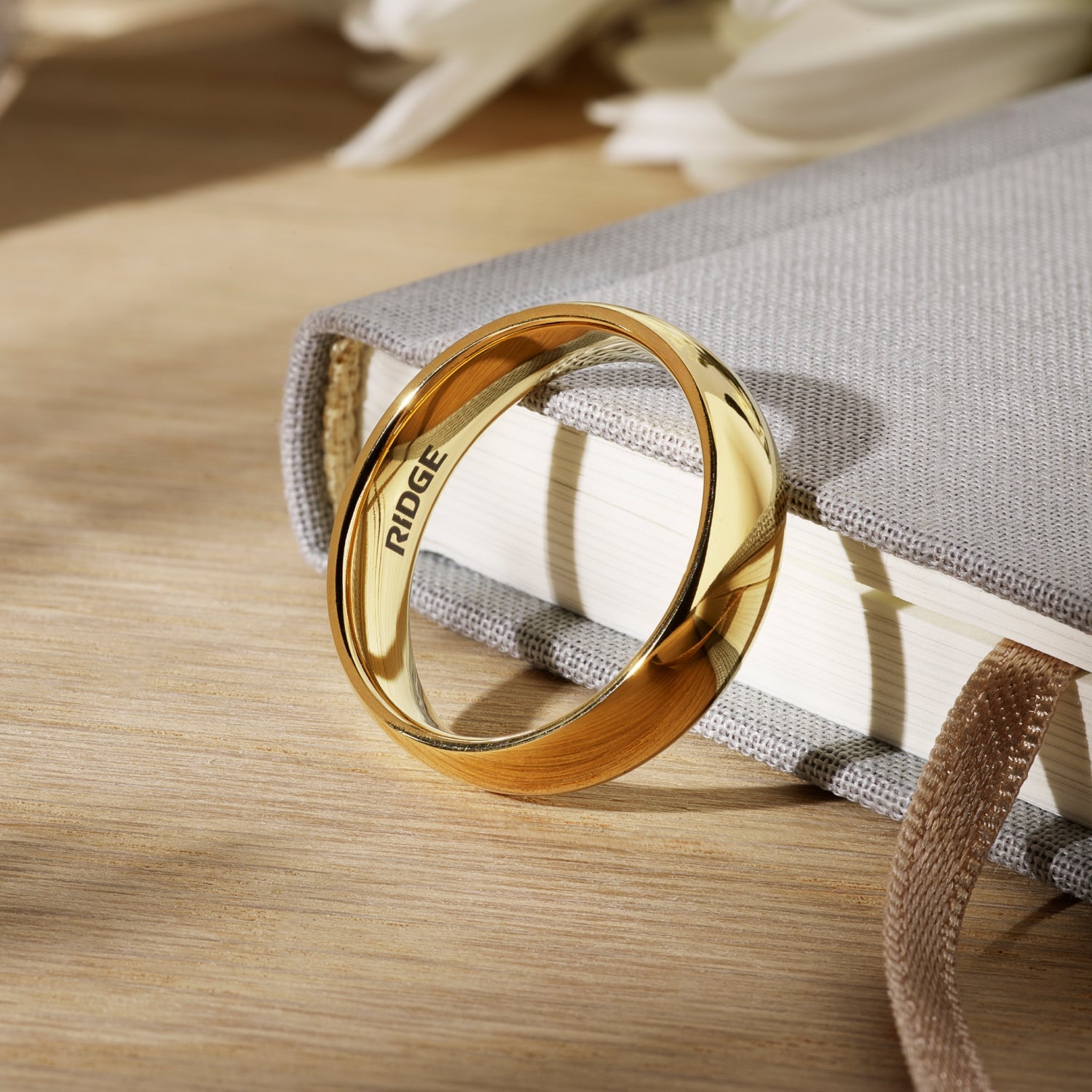 6mm Rounded Ring Set - 24K Gold - Tantalum